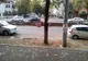 Protest în Bucureşti. Zeci de oameni nemulţumiţi de reabilitarea deficitară a Șoselei Iancului