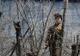 Cum au ajuns trei americani într-un lagăr de muncă din Coreea de Nord