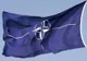 SUA vor să acorde Ucrainei, Moldovei şi Georgiei statul special de aliaţi non-NATO