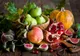 Superalimentele toamnei, beneficii fantastice pentru sănătate