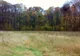 DOSARUL RETROCEDĂRILOR: Peste 43.000 de hectare, retrocedate unei persoane care ceruse doar 23.000