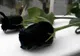 A murit! Tragedie fără margini