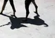 ACCIDENT CUMPLIT din cauza unui câine. Un mort şi 4 răniţi, după ce două autoturisme s-au ciocnit