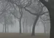 La munte va ploua! PROGNOZA METEO pe trei zile 