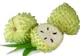 Fructul miraculos care distruge cancerul!