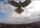 VIDEO Când natura ATACĂ! Un ȘOIM vrea să DISTRUGĂ o dronă 