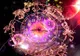 Horoscop complet vineri, 10 octombrie, şi pentru weekend