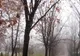 METEO. Cum va fi VREMEA astăzi, în ziua votului DECISIV