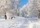 Vine zăpada! Unde va ninge în zilele următoare
