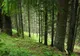 MAFIA RETROCEDĂRILOR. ANRP cere verificări MASIVE în Prahova