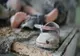 "Oraşul abandonat": Imagini filmate pentru prima dată cu o dronă lângă Cernobîl