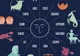 Horoscop special, de 1 decembrie. Ce rezervă astrele fiecărei zodii, de Ziua Naţională