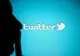 Twitter va SPIONA telefoanele smart ale utilizatorilor săi