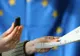 GAFĂ de proporții la PREZIDENȚIALE. Județul Vaslui s-a pregătit pentru EUROPARLAMENTARE