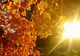 SURPRIZE de la meteorologi. PROGNOZA PE DOUĂ ZILE