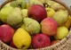 FRESH REFRESH. Trei PIESE de REZISTENŢĂ de IARNĂ - merele, perele şi gutuile