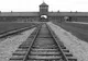 A scăpat de camerele de gazare de la Auschwitz