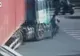ACCIDENT INCREDIBIL în China: a supravieţuit printr-un miracol, după ce a fost CĂLCAT de un CAMION