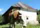 Casa din România în care trăiesc 800 de oameni