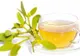 Povestea impresionantă. S-a vindecat de cancer cu extract de vâsc. Iată cum trebuie folosit