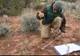Descoperire incredibilă în Pakistan! Are peste un milion de ani vechime