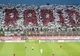 Veste bună pentru jucătorii echipei Rapid 