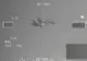 ÎNREGISTRARE VIDEO cu interceptarea unui avion militar rus, făcută de NATO