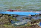 Peste 20 de persoane date dispărute în China, în urma unui naufragiu pe fluviul Yangtze
