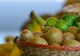 Câte boli vindecă KIWI