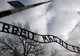 O supravieţuitoare a Holocaustului de origine română l-a adoptat pe nepotul unui comandant nazist