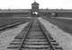 Cum arată Auschwitz la 70 de ani de la eliberarea prizonierilor