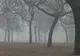 Vor fi condiţii de ceaţă şi burniţă. Prognoza meteo pe trei zile 
