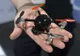 Gadgeturi electronice care pot aprecia starea de sănătate, prezentate la CES din Las Vegas