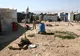 În PREMIERĂ la TV din România, documentar despre TRAGEDIA din Siria 