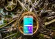 10 motive pro şi contra noilor Samsung Galaxy A3 si A5 