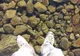 Lacul de cleștar, minunea naturii unde oamenii par să meargă pe apă | VIDEO