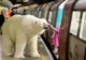 Apariţia care a şocat londonezii: un urs polar la metrou