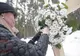Romanita rupe tacerea la un an de la moartea lui Iovan