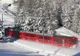 Un tren de pasageri Regio a DERAIAT, din cauza unei cirezi de VACI