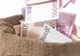 Pe urmele banilor din campanie. Partidele au rămas cu datorii după prezidenţiale