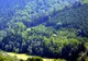 Stenograme. Paltin Sturdza către Ceteraş: Când e vorba de şpagă sunt toţi la fel. Orice ciolan e bun
