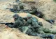 Efectul tensiunilor cu Rusia: un stat UE reintroduce serviciul militar obligatoriu