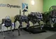 Google Spot, "cîinele robot" dezvoltat de Google