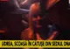 Momentul în care Elena Udrea a ieşit în cătuşe din sediul DNA