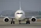 O albină a provocat întârzierea cu patru ore a decolării unui avion 