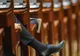 Codul silvic intră marţi în dezbateri la comisiile Camerei Deputaţilor