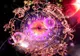 Horoscop zilnic 11 martie. Ce rezervă astrele fiecărei zodii