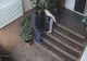 Cei mai proşti hoţi din Bucureşti, surprinşi de camera de supravegehere. Un video fabulos
