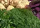 Fresh Refresh. Minunile unei plante folosite de milenii: mărarul