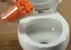 A aruncat un kg de morcovi în toaletă. Ce s-a întâmplat? N-ai mai văzut în viaţa ta aşa ceva 